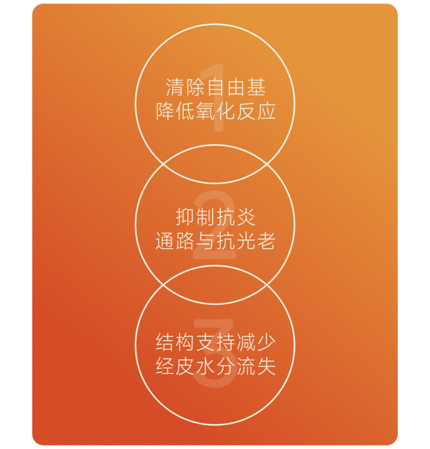 虾青素三重作用机制