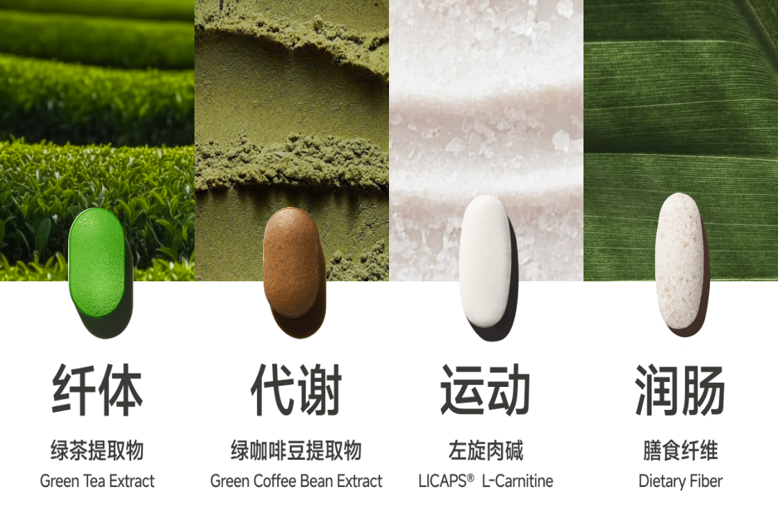 定制营养 ｜ 代谢缓慢、减重瓶颈，深度解析绿茶、左旋肉碱、绿咖啡豆的内服调理原理