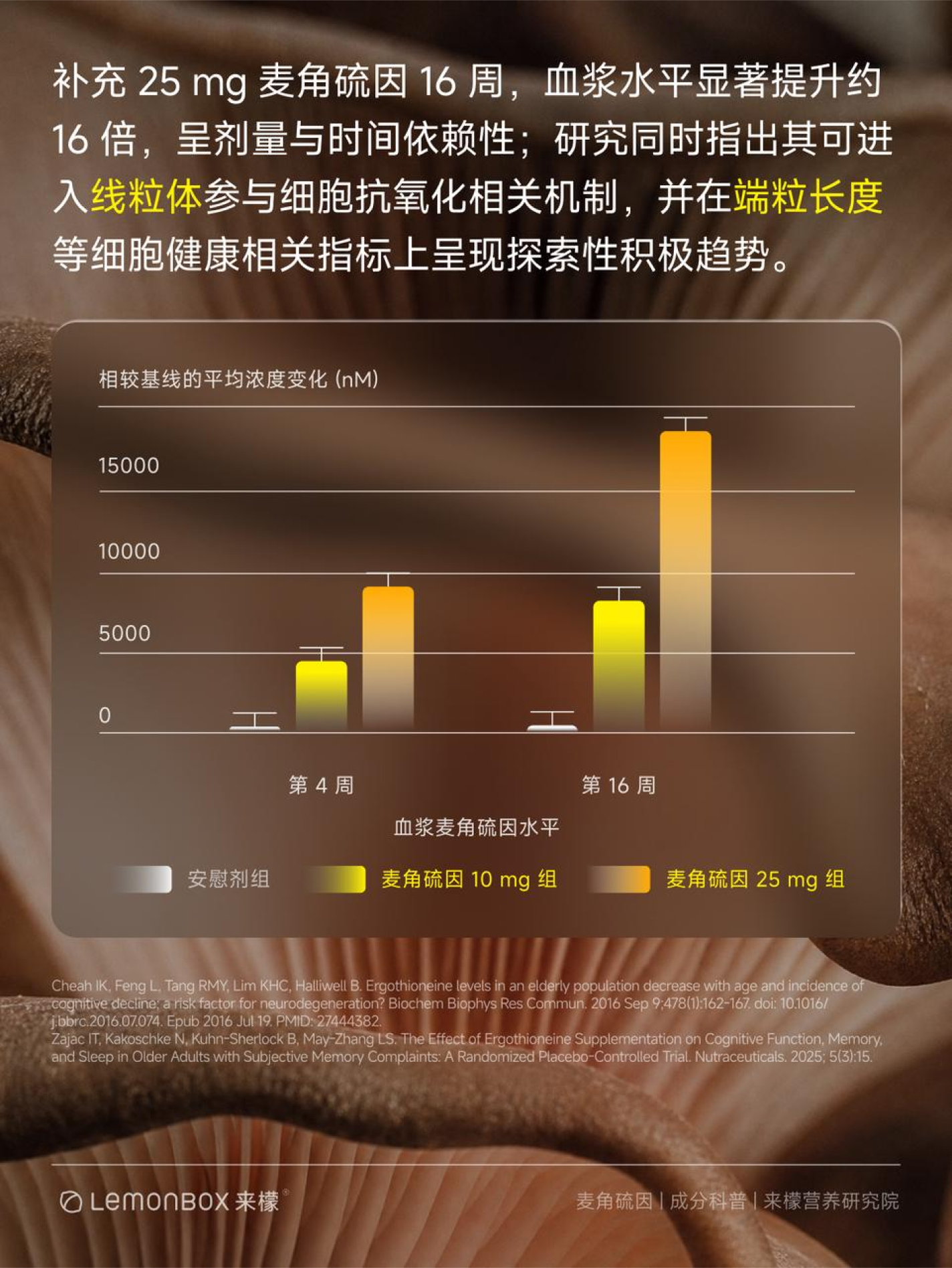 16周麦角硫因干预研究