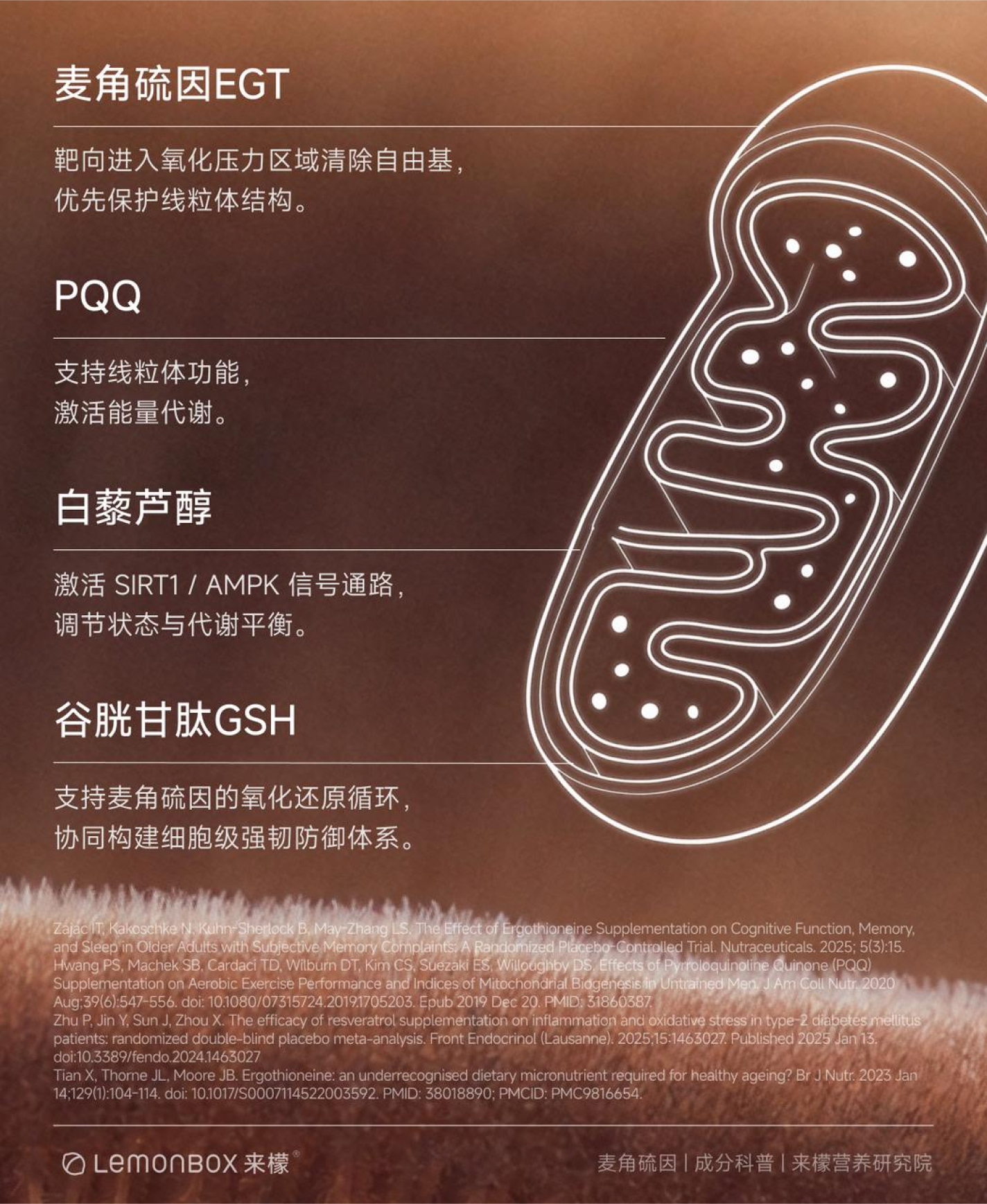 细胞多通路支持配方
