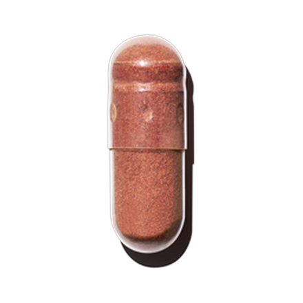 Grape Seed Extract