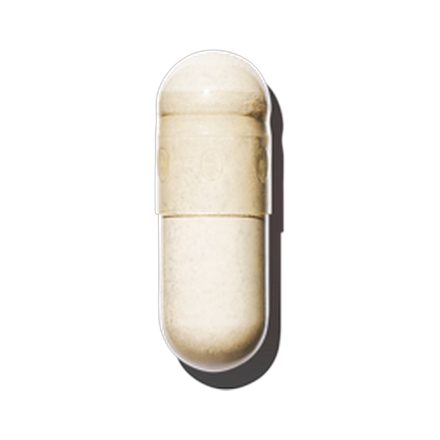Garcinia Cambogia Extract