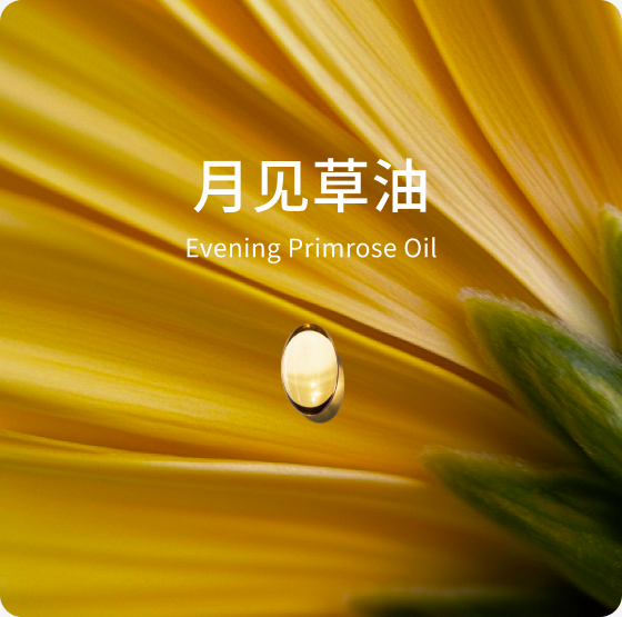 月见草油